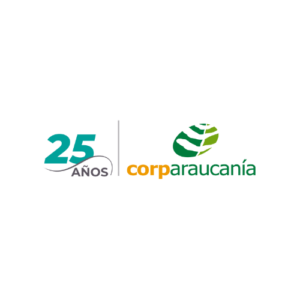 lg-corparaucania